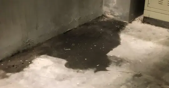 Slab leak seeping on the floor