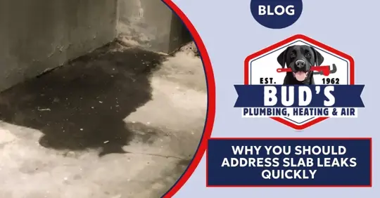 A newly installed toilet